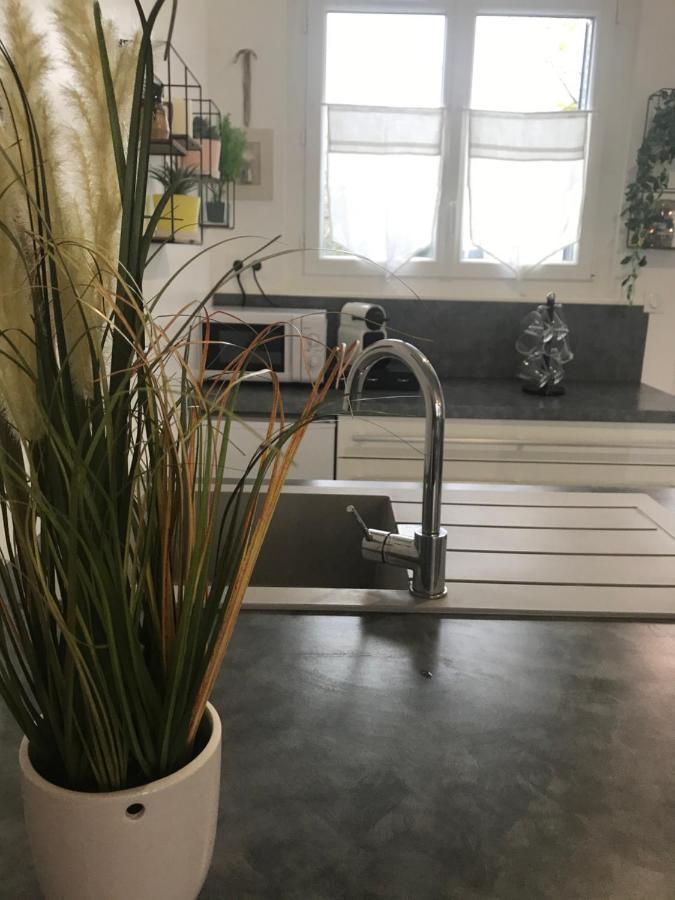 Maison 4 Chambres Jardin Et Parking Déols エクステリア 写真